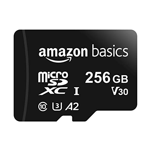 Miglior microsd nel 2022 [basato su 50 valutazioni di esperti]