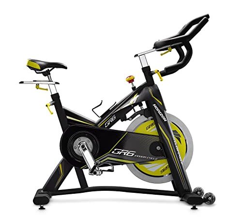 Horizon Fitness Cyclette MOD. GR6 - Spin Bike - Console Opzionale