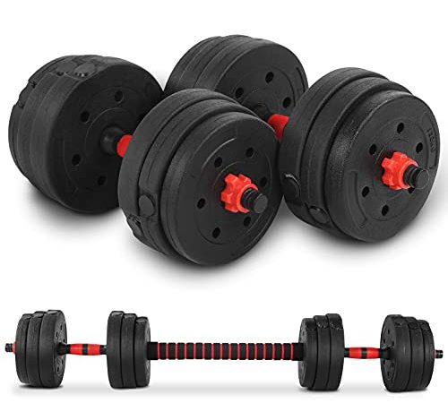 Set di Manubri 2 in 1, 20KG(2x10KG), Manubri Palestra Regolabili, Manubri Pesi e Bilanciere per Esercizio di Allenamento Fitness da Palestra Domestica