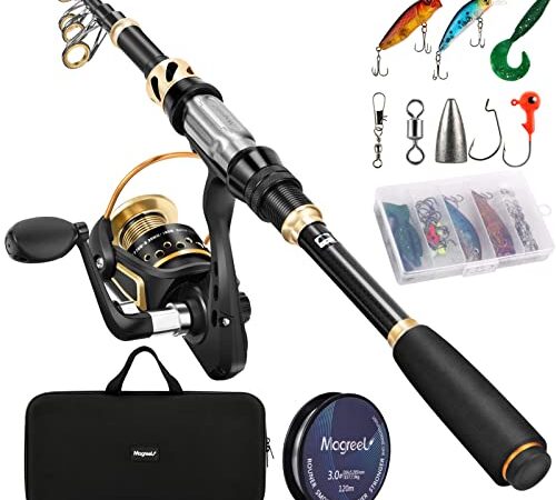 Magreel Canna da Pesca e Mulinello Combo Set di Canne Telescopica con Lenza, Kit di Esche da Pesca e Borsa per Il Trasporto