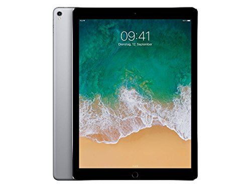 30 Miglior ipad pro nel 2024 [basato su 50 valutazioni di esperti]