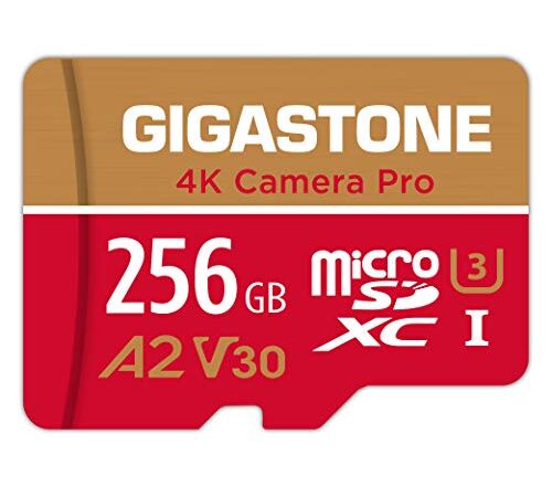 Gigastone [5 Anni Recupero Dati Gratuito] scheda di memoria 256 GB 4K Camera Pro, Specialmente per GoPro Drone Switch, Velocità 100 MB/s. per video 4K, A2 U3 V30 Scheda Micro SDXC con Adattatore SD.