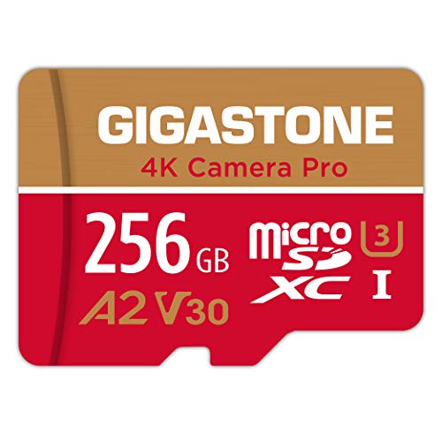 30 Miglior micro sd 256 gb nel 2024 [basato su 50 valutazioni di esperti]