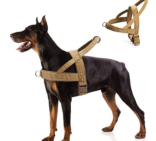 Pettorina Cane, Pettorina Regolabile Riflettente per Cani di Taglia Media e Grande, No-Pull Pettorine Cane Traspirante, Comodo per Corsa, Addestramento (M)