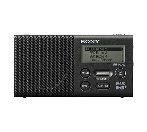 Sony Xdr-P1Dbp - Radio Portatile Fm/Dab/Dab+, Nero