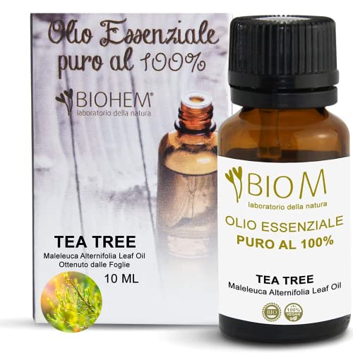 30 Miglior tea tree oil nel 2024 [basato su 50 valutazioni di esperti]